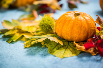 Colorful fall seasonal autumn colors background