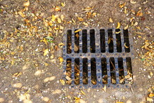 Brown Leaves Around A Dry Rain Water Drain Grille - Drought Concept
