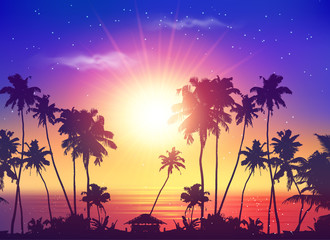 Wall Mural - Vector ocean sunset sky with dark palm silhouettes and sun