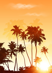 Wall Mural - Orange sunset palms silhouettes vector poster background