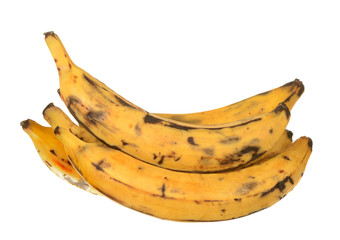 Canvas Print - plantain banana