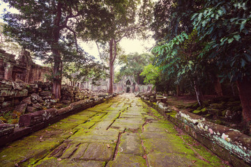 Wall Mural - Angkor