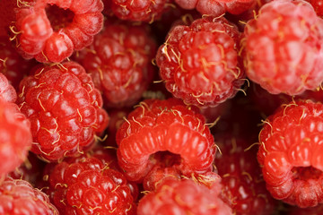 Poster - Ripe red raspberry, background
