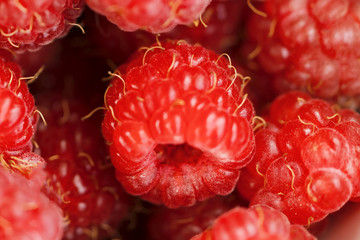 Poster - Ripe red raspberry, background