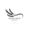 Grain logo. Wheat symbol