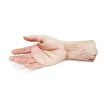 Zombie Severed Hand