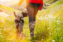 Young Woman With Her Dog Walking.