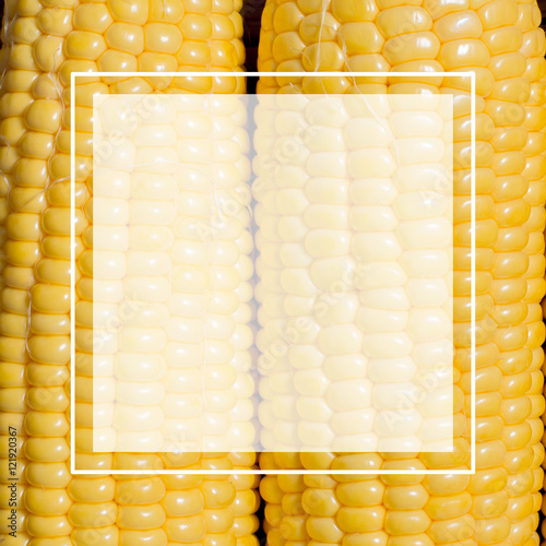 corn on the wooden background. text box