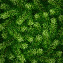 Detailed Christmas Tree Branches Background