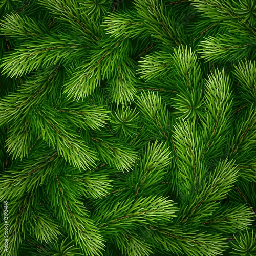 Fotografija Detailed Christmas tree branches background