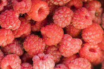 Poster - Raspberry, background