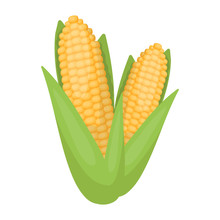 Sweet Corn Icon In Cartoon Style Isolated On White Background. Canadian Thanksgiving Day Symbol Stock Vector Illustration.