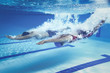 © torwaiphoto - swimmer Jump from platform jumping A swimming pool.Underwater ph
