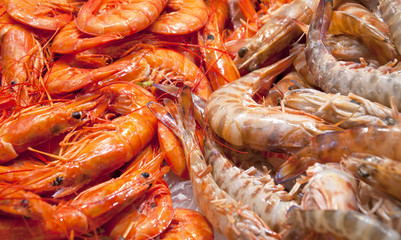 Close Up Fresh Shrimps On Display On Ice On Fishermen Market Sto