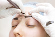 © lester120 - Mikrobleyding eyebrows workflow in a beauty salon