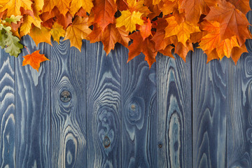 Canvas Print - Autumn leaves over old wooden background. With copy space