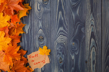 Canvas Print - Autumn leaves over old wooden background. With copy space