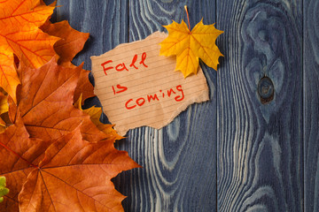 Canvas Print - Autumn background/Autumn leaves over wooden background