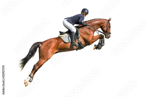 Fotografía Rider jumping on a horse isolated on white