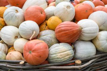 Wall Mural - Pile of colored pumpkins and gourds in Moldova, wooden basket and hay