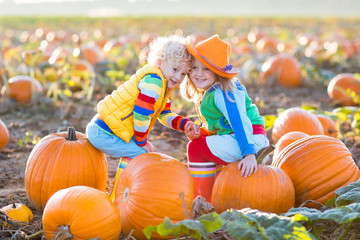 kids picking pumpkins on halloween pumpkin patch