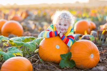 child playing on pumpkin patch