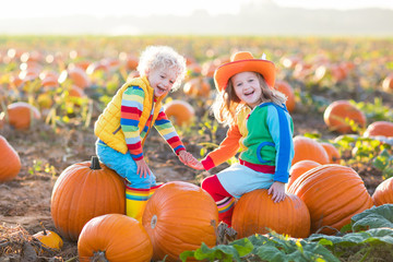 kids picking pumpkins on halloween pumpkin patch