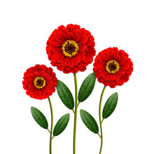 Three Red Flowers
