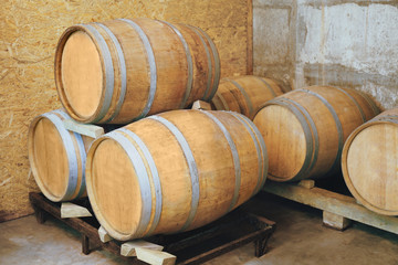 Poster - Wooden barrels for wine in cellar