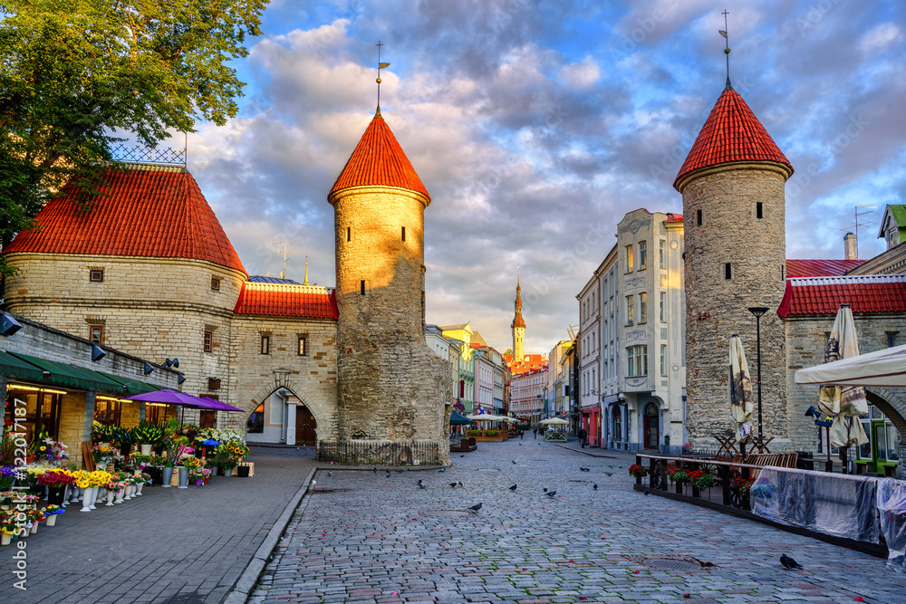 Obraz na płótnie Viru Gate in the old town of Tallinn, Estonia w salonie