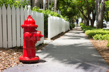 Fire Hydrant At A Fence. Key West. USA