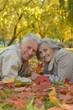 © aletia2011 - Senior couple in autumn park