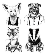Hand Drawn Dressed Up Badger In Hipster Style