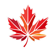 Vector Stylize Logo With Red Maple Leaf