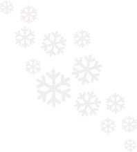 White Snowflake Pattern Icon