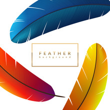 Creative Feather Background. Exotic Bird Feathers Composition. Eps10 Vector Illustration.