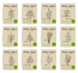 Wall Mural - Vector hand drawn culinary herbs and spices posters set.