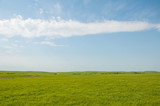Fototapeta  - Wide open rural prairie landscape in summer