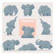 Set of Elephant family , vector , illustration