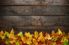 Autumn Yellow Red Green Leafs Border Frame On Dark Brown Barn Wood Planks Background. Horizontal Postcard Template. Empty Space For Copy, Text, Lettering.