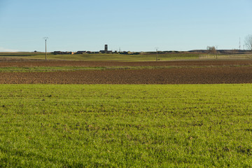 Wall Mural - Paisaje de campo on pueblo agrícola en otoño