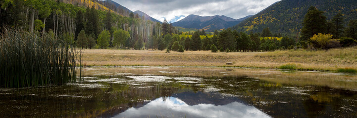 The Inner Basin Trail in Flagstaff Arizona.