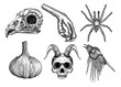 Set for Halloween. Set of witchcraft magic, occult attributes decorative elements. Human, demon with horns, bird skull, bug, spider, insect, crow, garlic, bird leg. Folklore  attributes.  Vector.
