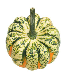 Wall Mural - mini pumpkin