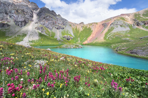 Fotografie, Obraz Island Lake and wildflower in San Juan Mountains near Silverton, Colorado