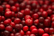Cranberry, wild berry, background and texture