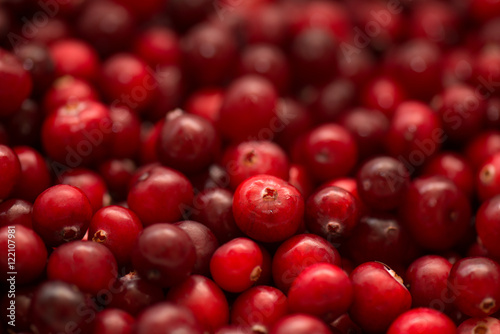 Stampe Cranberry, wild berry, background and texture