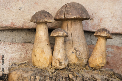 Fotografija mushroom inlaid in the trunk of the tree