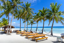 Resort Hammocks And Picnic Tables On Perfect Palm Tree Lined Beach - Panglao, Bohol - Philippines