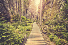 Vintage Toned Photo Of A Wooden Path In Adrspach Teplice Rock Town, Czech Republic.